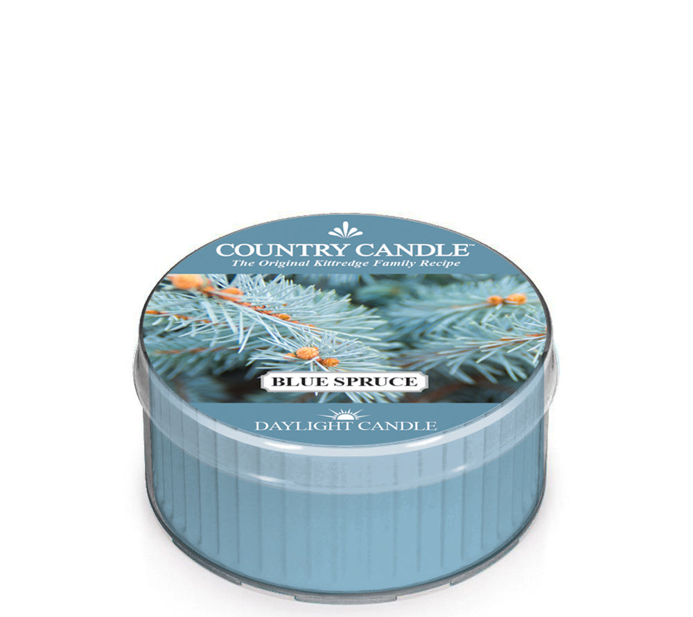 Blue Spruce Duftkerze von Country Candle