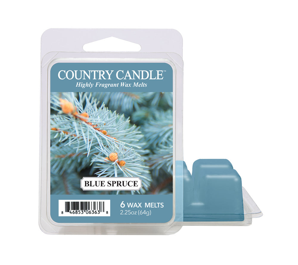 Blue Spruce Wax Melts von Country Candle kaufen – waldiger Winterduft mit Fichte, Tanne & Douglasie, 6er Pack