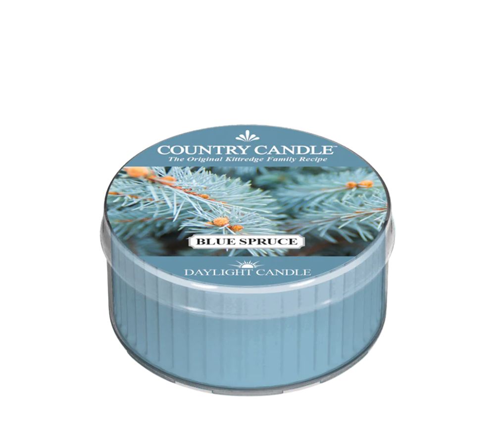 Cozy_jessy's Favorite Daylight Bundle online bestellen - Duft-Lieblinge entdecken - Blue Spruce