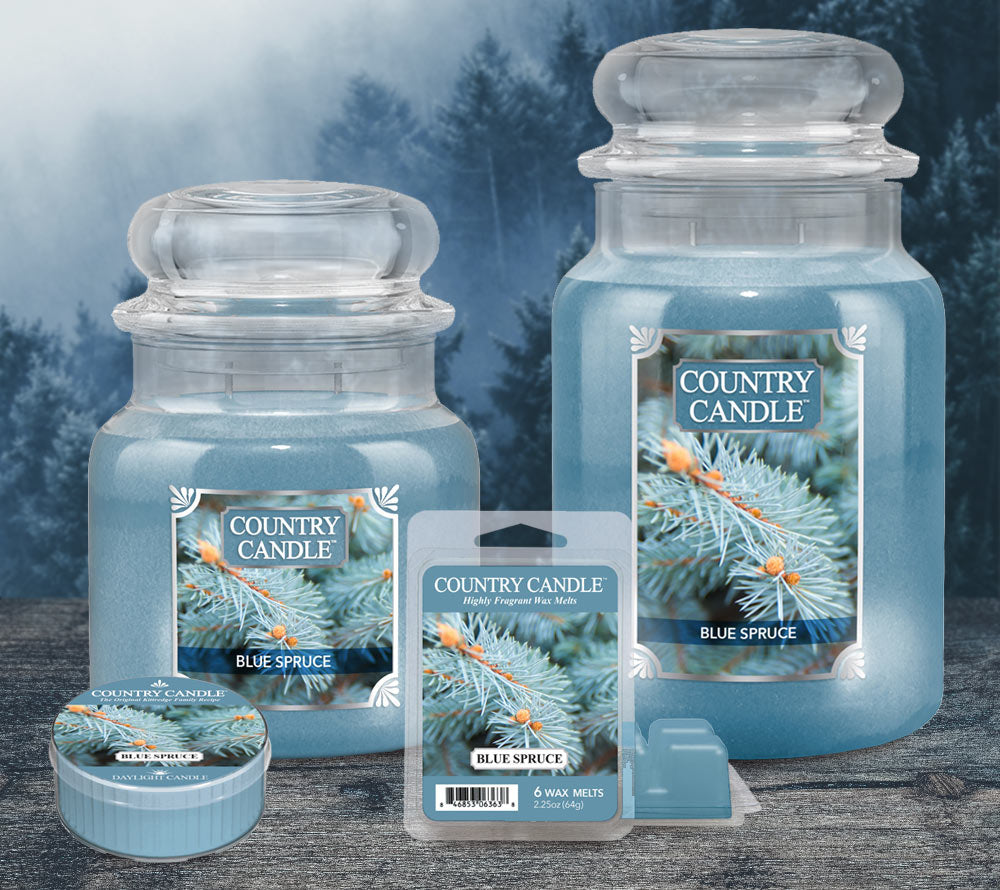 Blue Spruce Duftkerze von Country Candle kaufen – waldiger Winterduft mit Fichte, Tanne & Douglasie