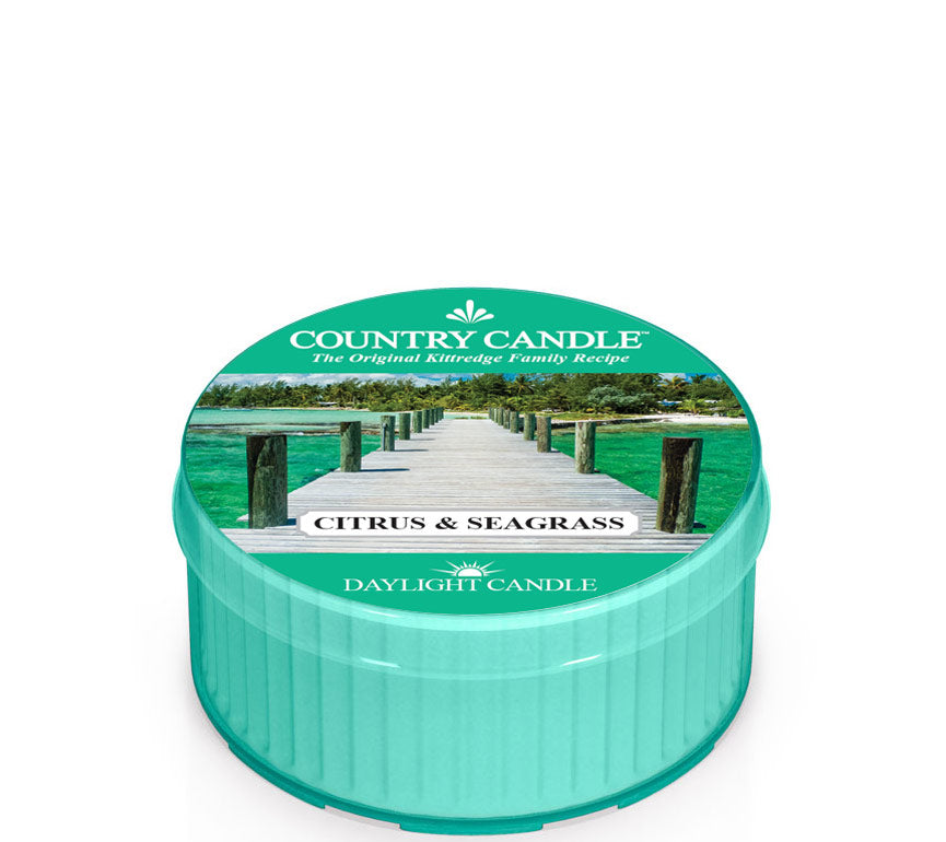 Citrus & Seagrass Duftkerze von Country Candle – frischer Sommerduft mit Zitrus & Minze