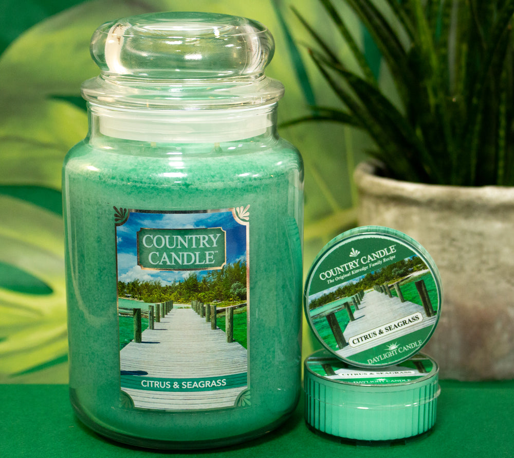 Citrus & Seagrass Duftkerze von Country Candle – frischer Sommerduft mit Zitrus & Minze