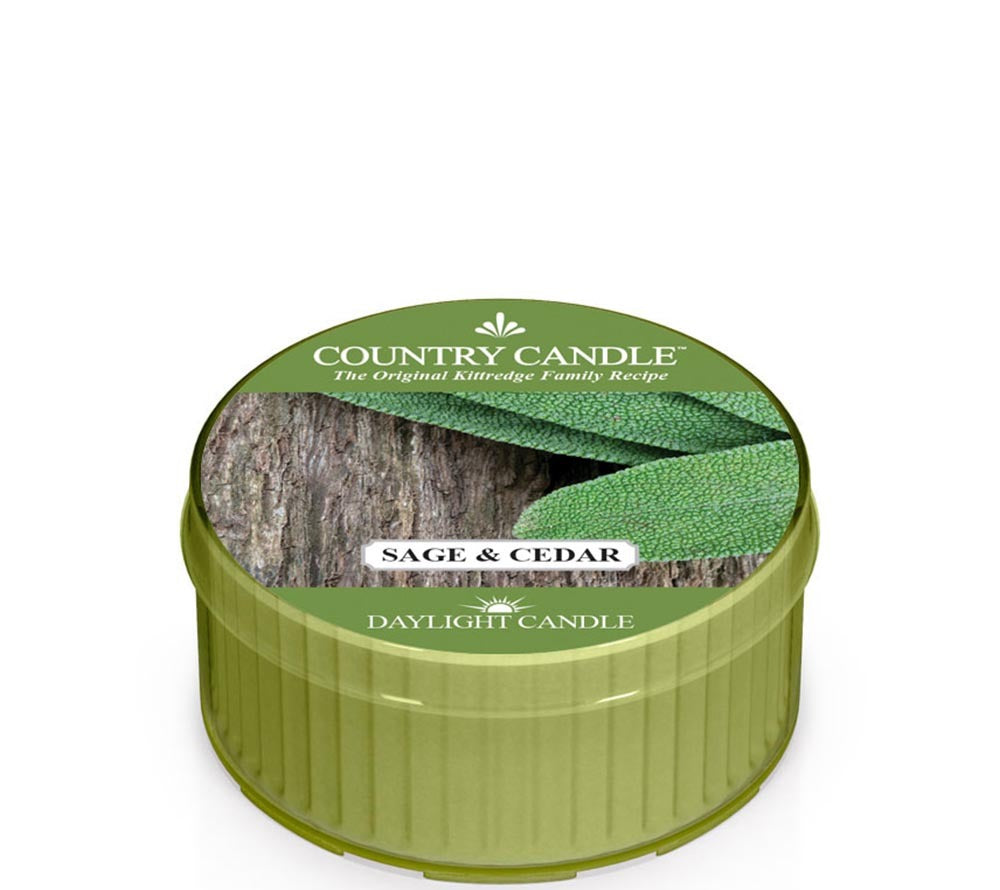 Sage & Cedar Duftkerze online kaufen – Kräuter, Zedernholz & Moschus, frischer Sommerduft