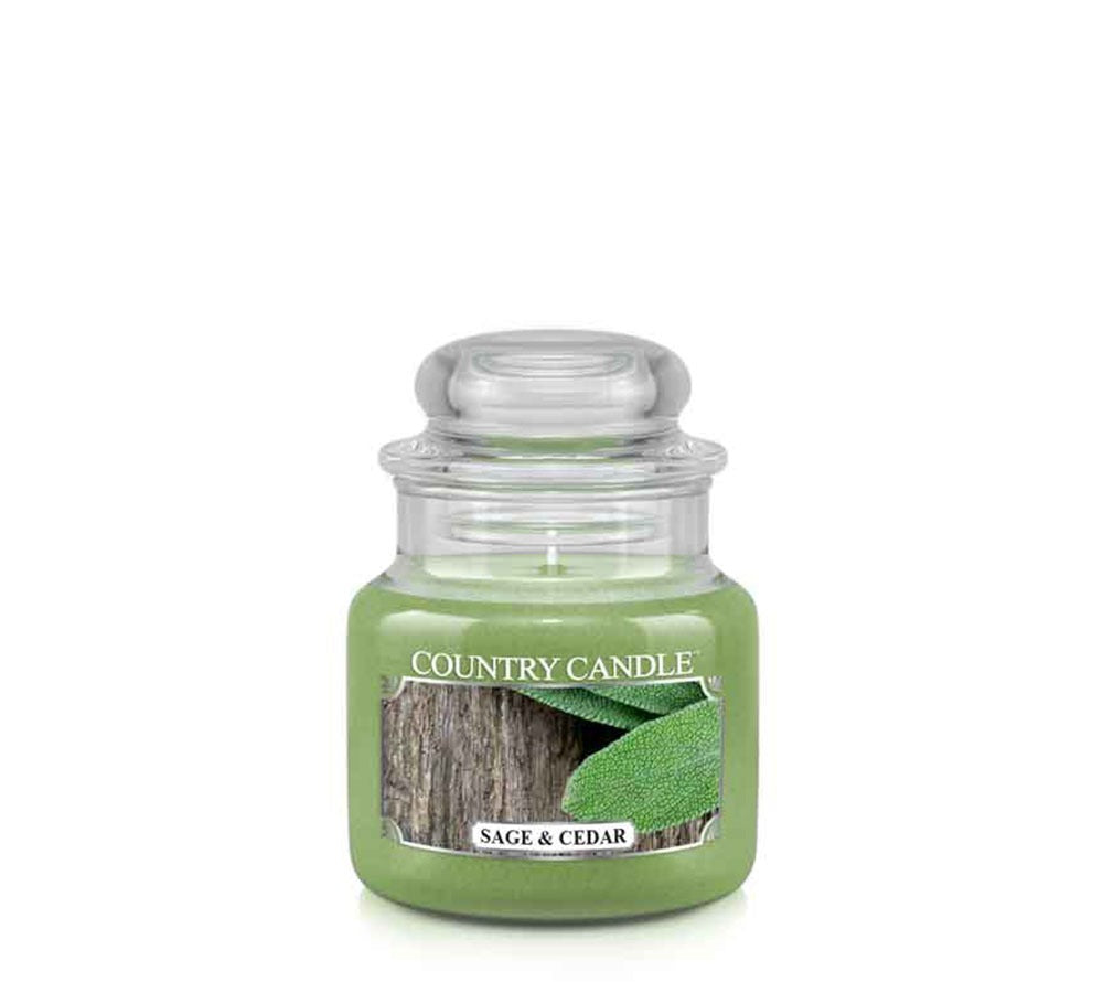 Sage & Cedar Duftkerze online kaufen – Kräuter, Zedernholz & Moschus, frischer Sommerduft