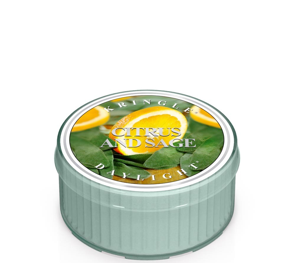 Citrus & Sage Duftkerze online bestellen – Zitrus, Salbei & Sandelholz für gemütliche Abende
