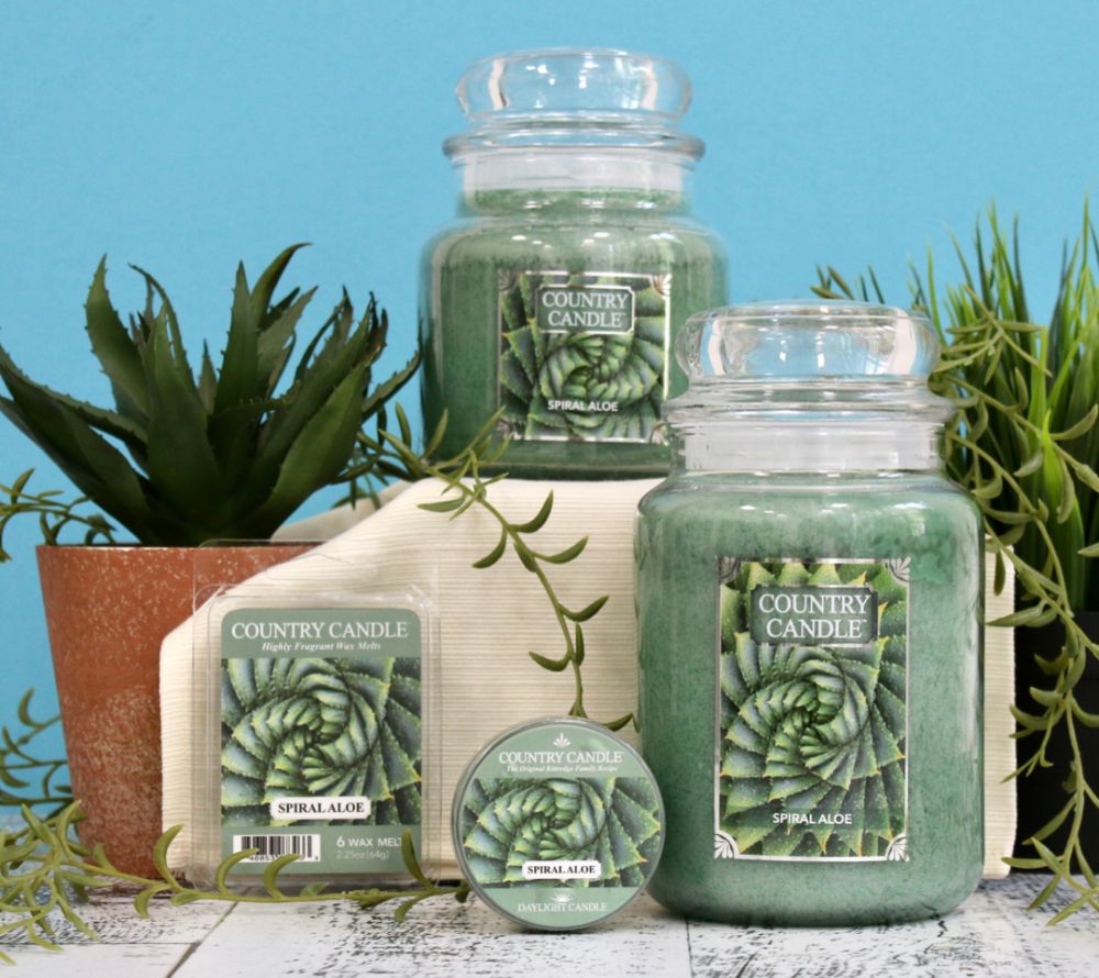 Spiral Aloe Duftkerze von Country Candle – frischer, floraler Duft mit Rosen & Amber
