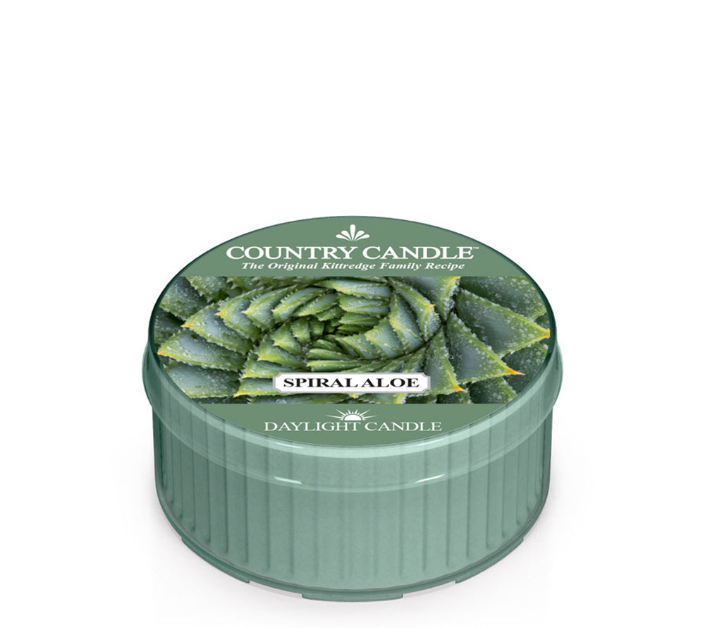 Spiral Aloe Duftkerze von Country Candle – frischer, floraler Duft mit Rosen & Amber