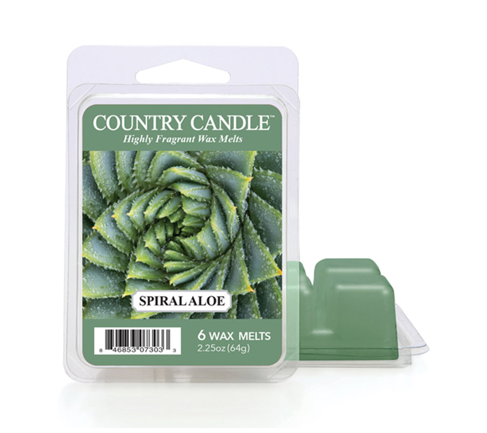 Spiral Aloe Duftkerze von Country Candle – frischer, floraler Duft mit Rosen & Amber