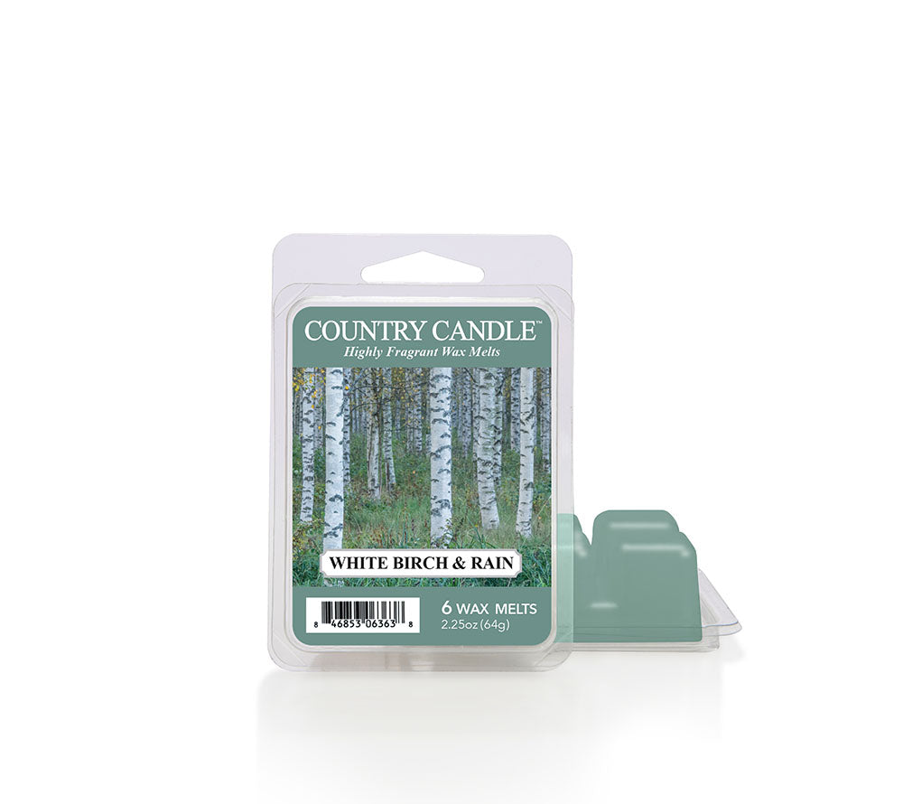White Birch & Rain Duftkerze von Country Candle kaufen - die perfekte Herbstkerze ✚ Große Auswahl, beste Qualität, Made in USA ✚ EU-Versand ✚ Jetzt entdecken!