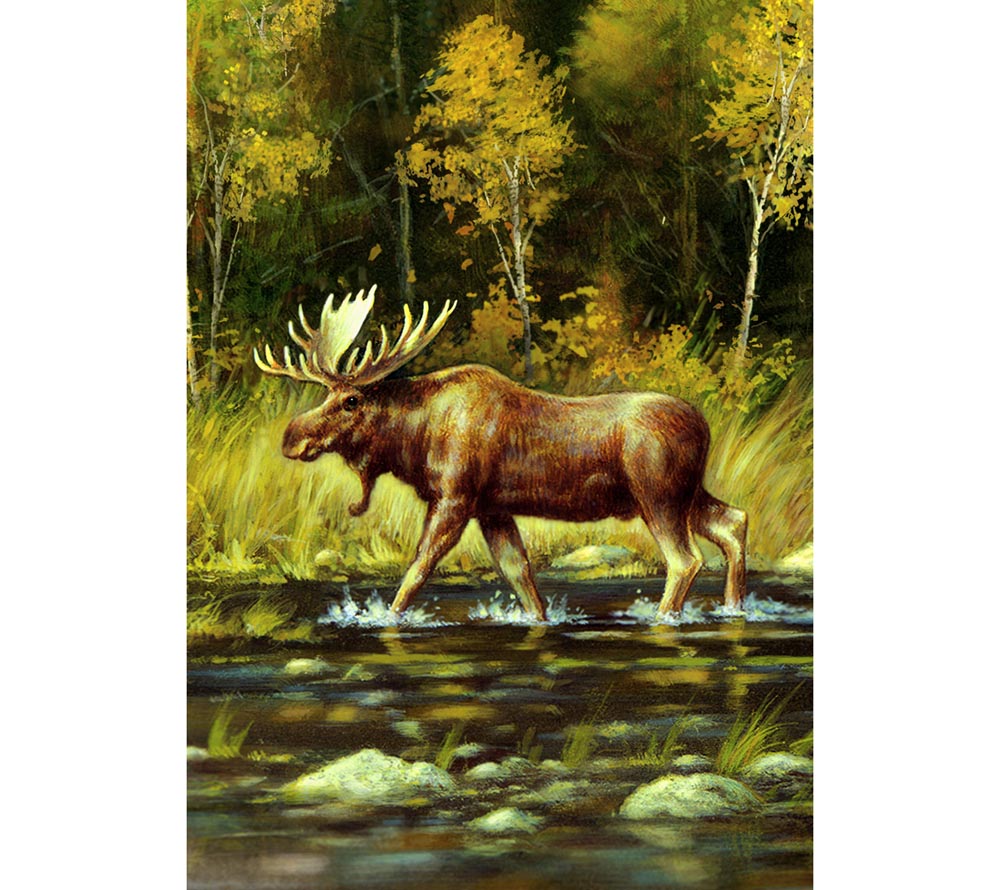 Wading Moose Fahne