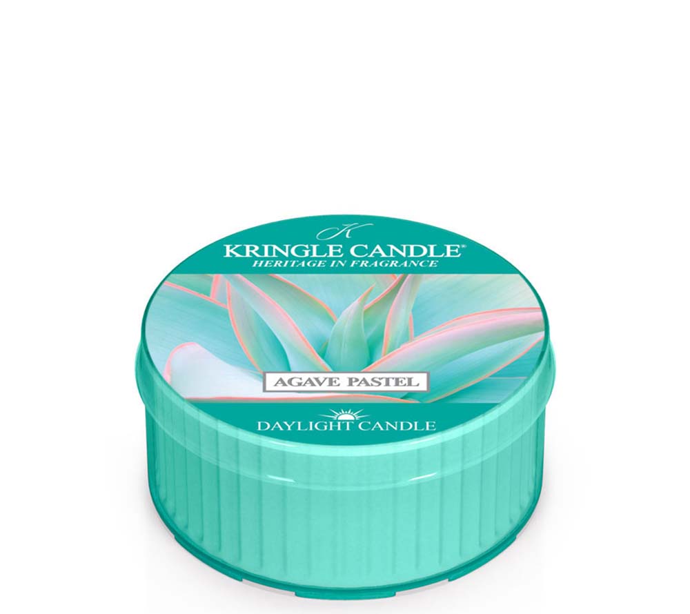 Agave Pastel Duftkerze von Kringle Candle kaufen – sommerlicher Duft nach Zitrus, roten Früchten & Meerbrise
