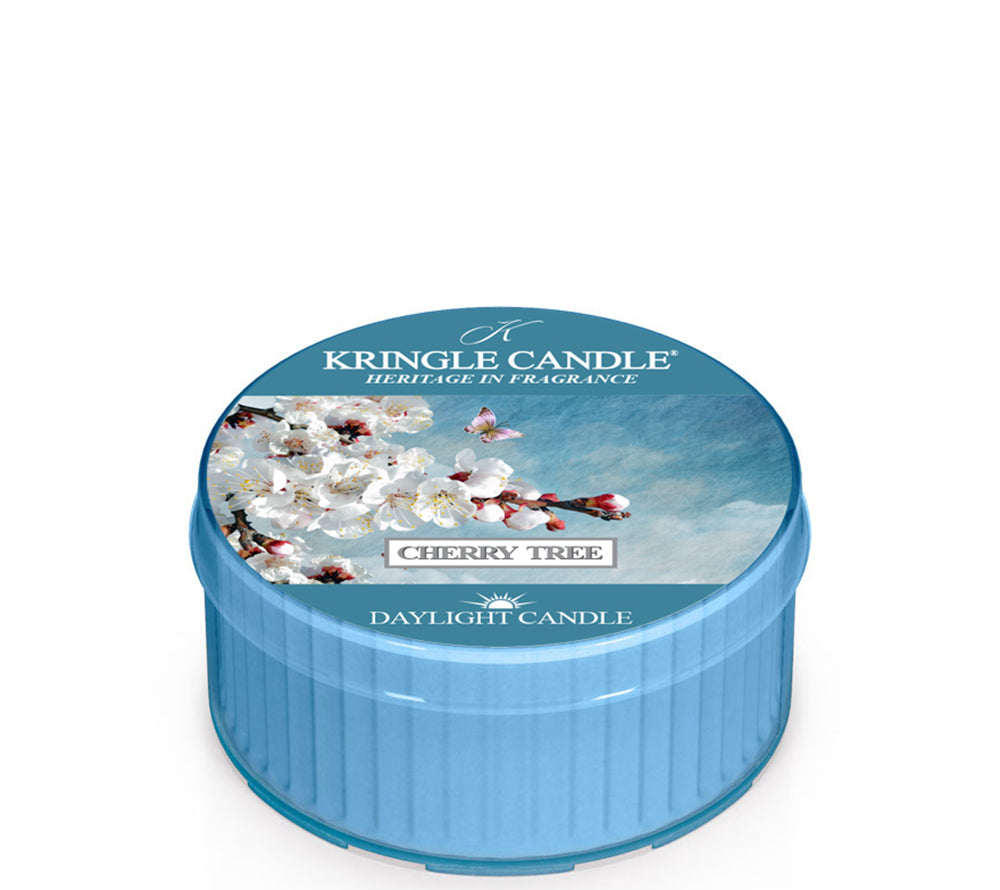 Cherry Tree Duftkerze von Kringle Candle kaufen – Kirschblüten, Jasmin & Amber, 100% Sojawachs
