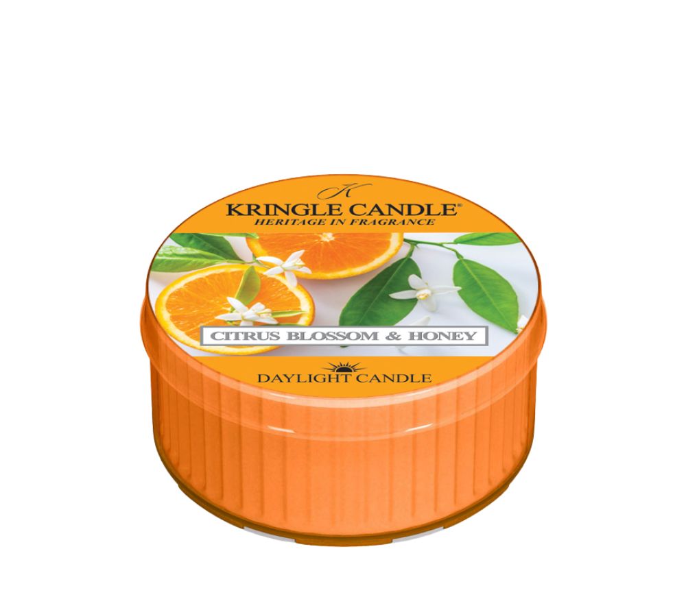 Kringle Candle Daylight Citrus Bloom & Honey – kompakter Frühjahrsduft mit Mandarine, Neroli & Honig