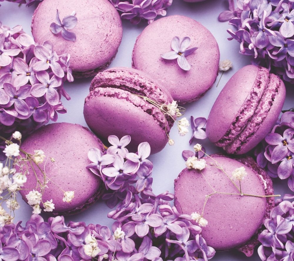 
                  
                    Duftkerze Lilac Macaron von Country Candle ☆ Blühender Flieder trifft auf süßes Macaron-Gebäck ☆ Blumig, süß und gemütlich ☆ Jetzt kaufen
                  
                