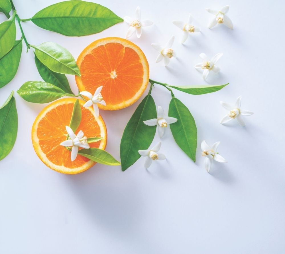 
                  
                    Duftkerze Mandarin Petals von Country Candle ☆ Frischer Duft nach Mandarinen, Zitrus und süßen Beeren ☆ Belebende Frische für Ihr Zuhause ☆ Jetzt kaufen
                  
                