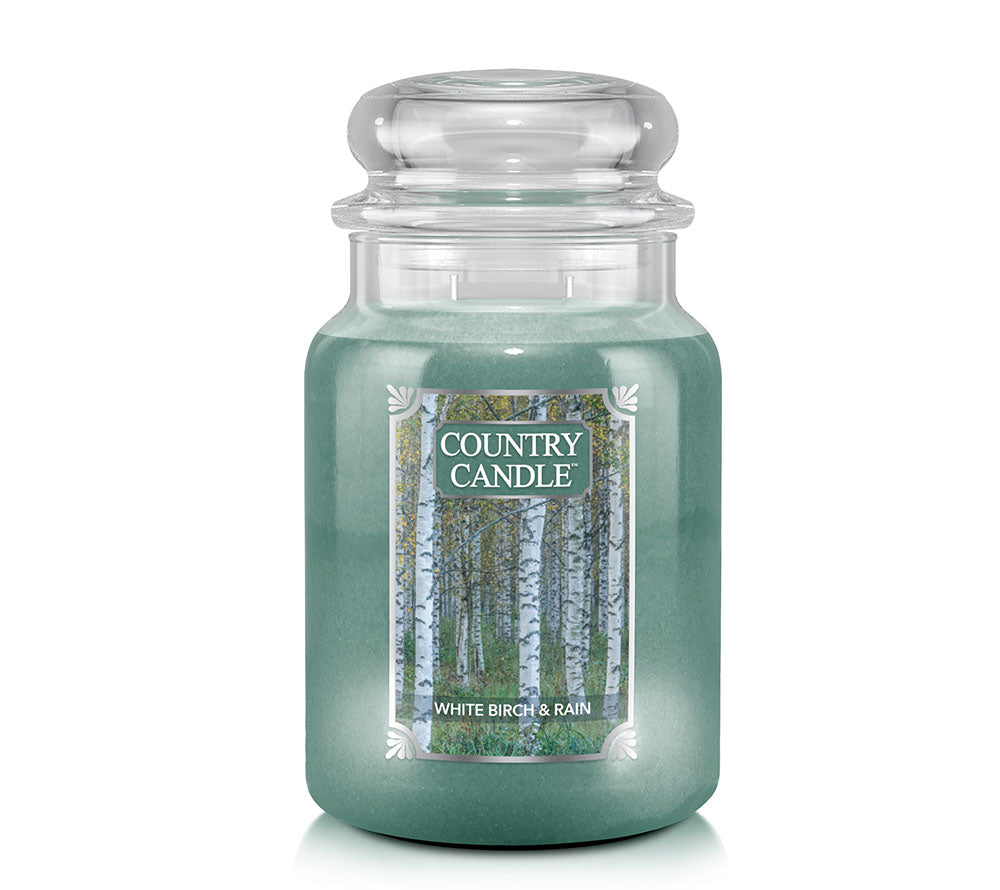 White Birch & Rain Duftkerze von Country Candle kaufen - die perfekte Herbstkerze ✚ Große Auswahl, beste Qualität, Made in USA ✚ EU-Versand ✚ Jetzt entdecken!